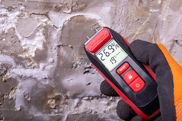 Best Attic Mold Removal  in Owatonna, MN