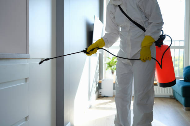 Best Residential Mold Removal  in Owatonna, MN